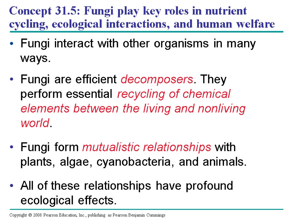 Concept 31.5: Fungi play key roles in nutrient cycling, ecological interactions, and human welfare